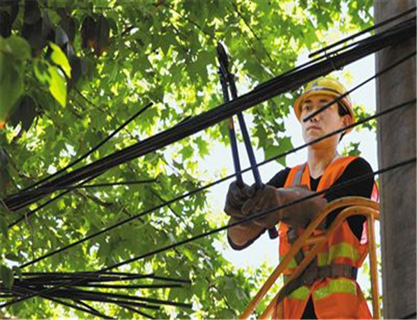 新疆架空絕緣導(dǎo)線(xiàn) 新疆架空絕緣導(dǎo)線(xiàn)