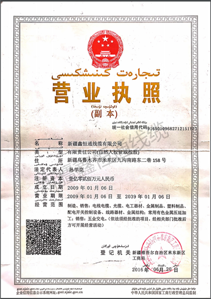 1594192336167391.png 執(zhí)照副本.png